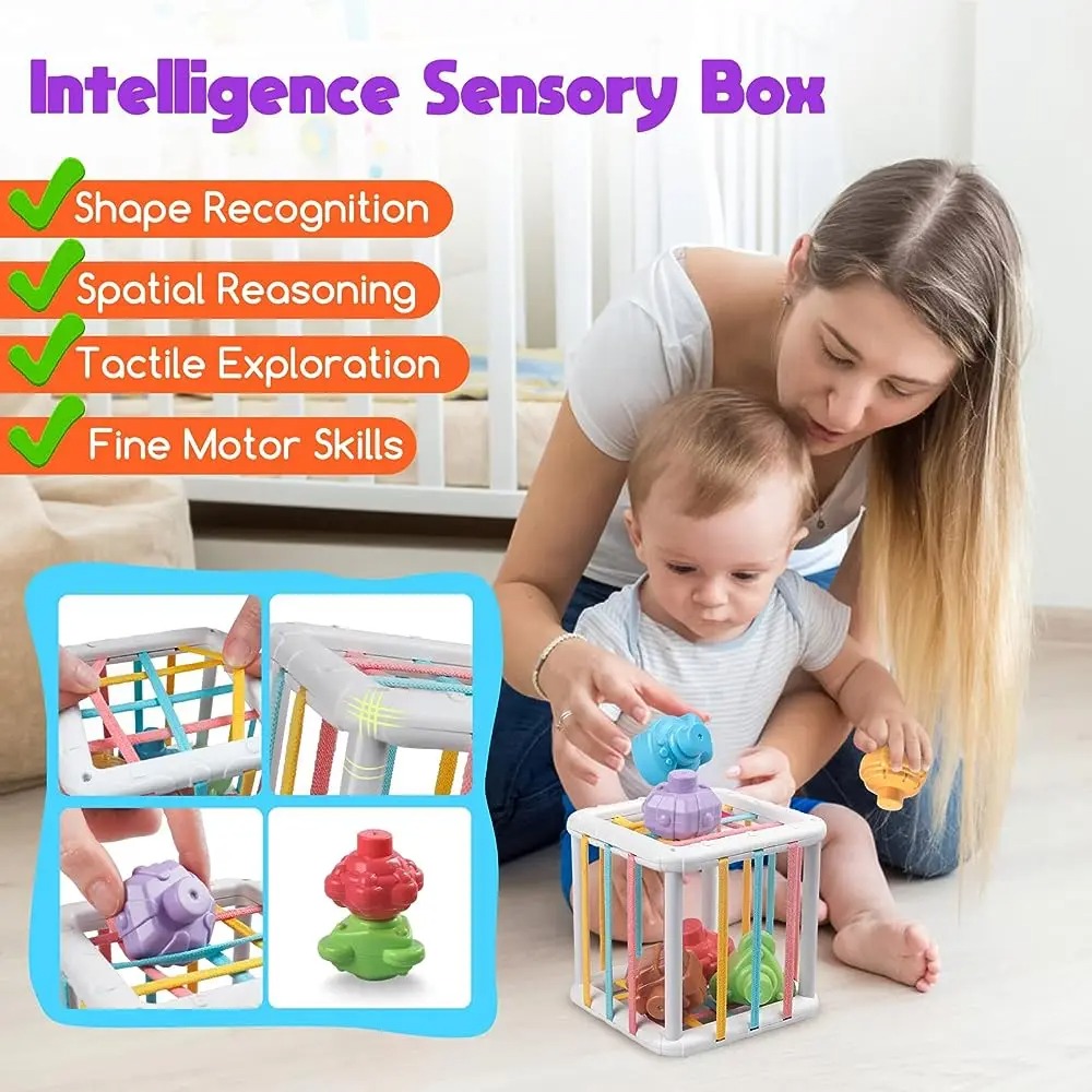 Regenbogenfarbiger Montessori- – Building Blocks Bewertung und Preis